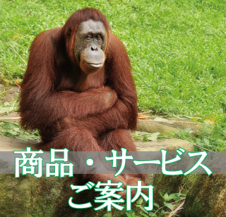 一泊研修